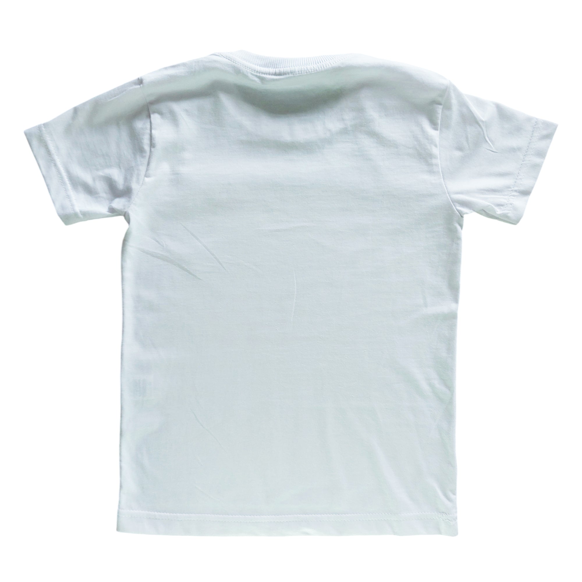 Camiseta Lisa Miguelito Infantil Masculina Meninos Garotos (Atacado)