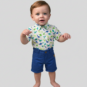 Roupa Temática DINO Festa Aniversário Dinossauros 1 ap 4 anos